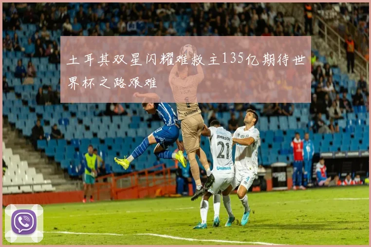 土耳其双星闪耀难救主135亿期待世界杯之路艰难