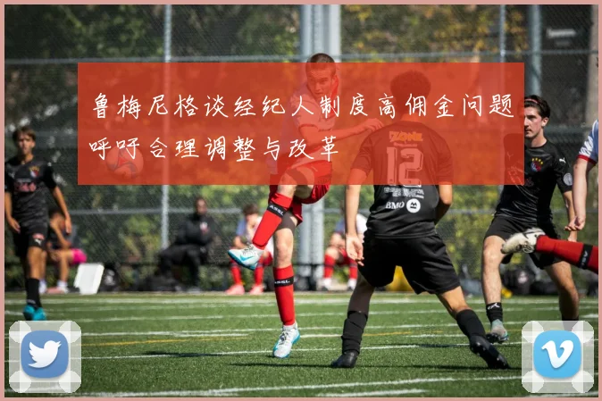 鲁梅尼格谈经纪人制度高佣金问题呼吁合理调整与改革